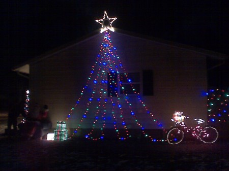 tree on side of house