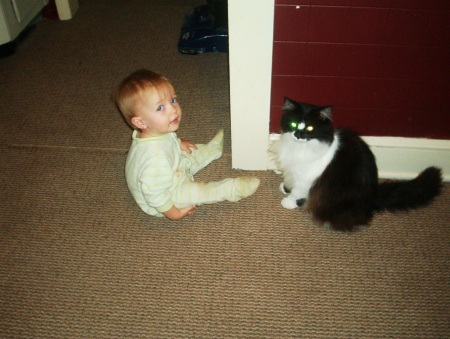 Payton & The Cat