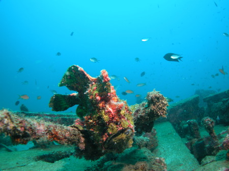 Sabang Bay