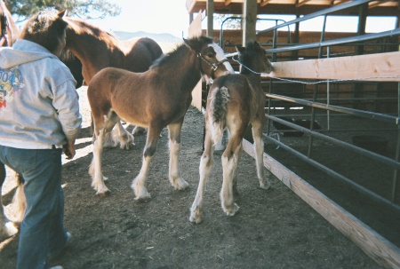 Gracie, Mystic and Myself