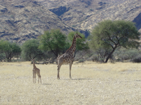 Namibia, South Africa, 2005