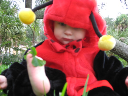 MY LITTLE LADYBUG