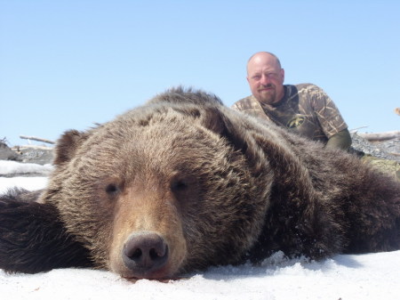 Russian Grizzly