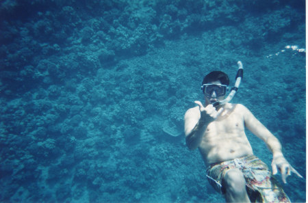 Snorkelin in Maui