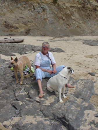 Sue w/Dogs