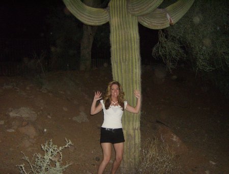 Arizona 2008
