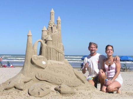 The Proposal Sand Castle - SPI