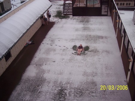 Snow Angel in Reno!