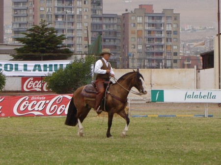 Reining Exhibition in Granaderos