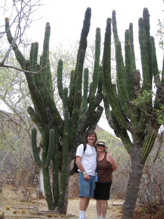 Cabo 2009, The Dessert Mountains