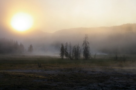 Sunrise Yellowstone National Park