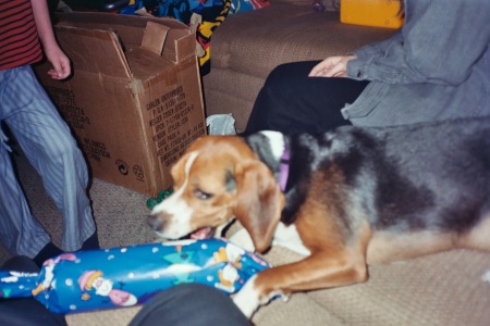 Sparky opening gifts