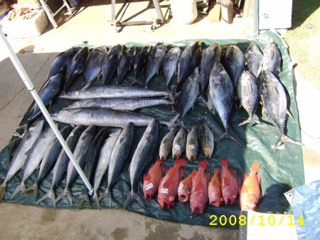 fishing trips 053