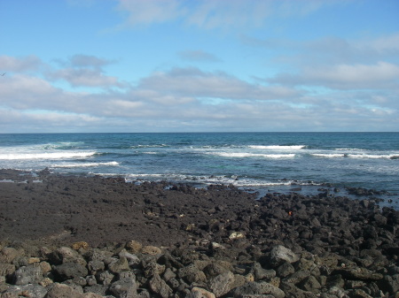 santa cruz shoreline