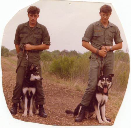 DOD Dog School 1980 w/LOBO