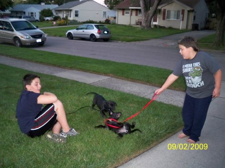 trevor and travis with the puppies