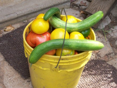 Summer Bounty