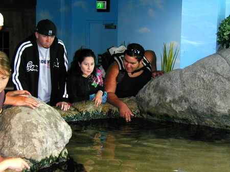 SanFrancisco Pier Aquarium