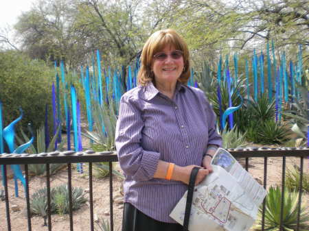 The Desert Botanical Gardens in Phoenix