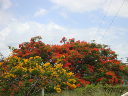 Cabo Rojo, PR