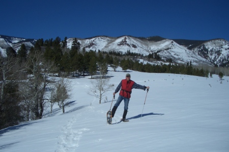 Snowshoing in my back yard