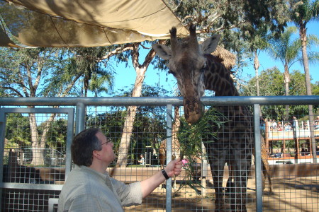 Chris feeding the giraffe at the San Diego Zoo