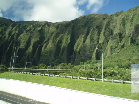 Hawaiian scenery
