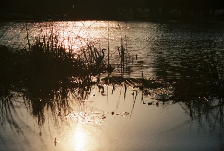 Sunset at Glen Helen Park