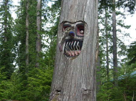 Mosquito Tree carved by logger in Canada