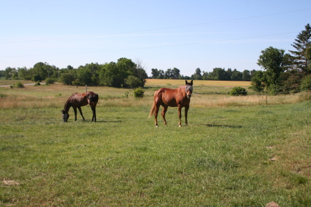 home on the range!