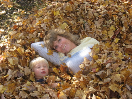 The leaves on The Lake House