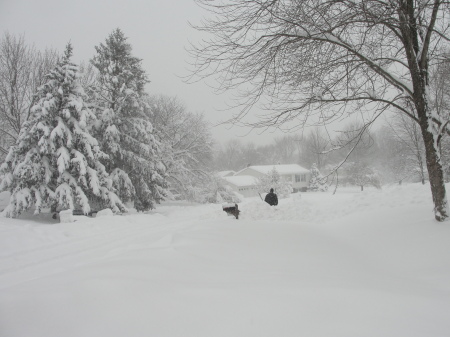 Blizzard 2010-our street there somewhere