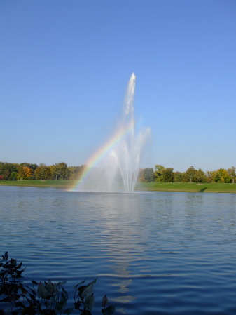 Rainbow at Chicago Botanical Garden