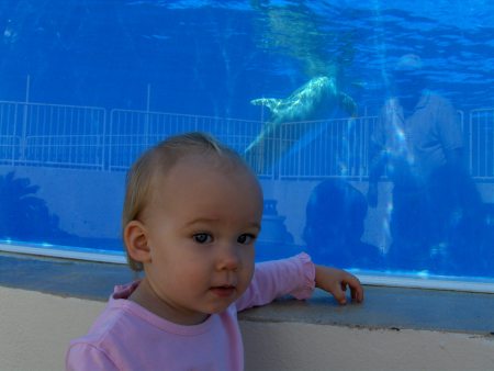 Bailey At Marineland