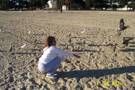 Seagull Feeding/Fun at Cabrillo Beach, CA