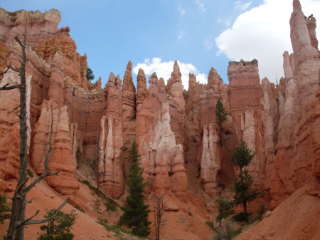 Bryce Canyon summer 2009