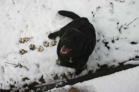 China In the Snow