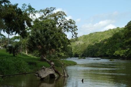River in Belize