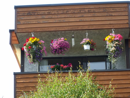 Balcony Flower Baskets
