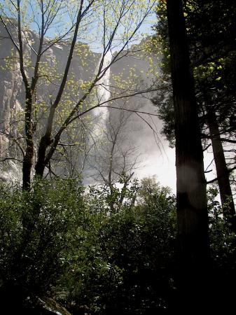 Brides vail falls Yosemite