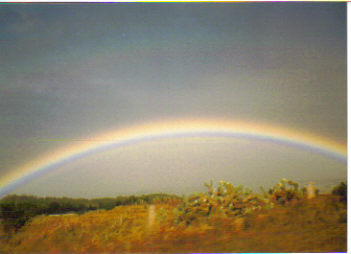 A full rainbow on Maui Island