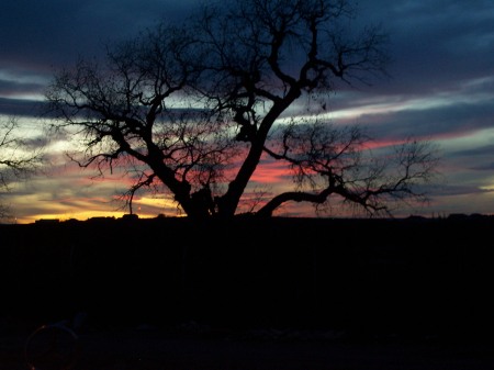 Nov sunset in Carlsbad, NM