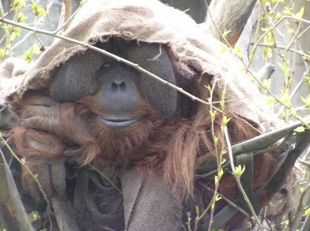 Woodland Park Zoo