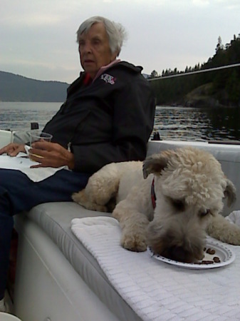 Mom and Bailey (Soft Coated Wheaton Terrier 11