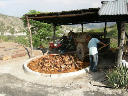 Mexican Mezcal Still