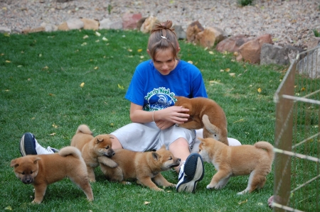 My daughter with puppies