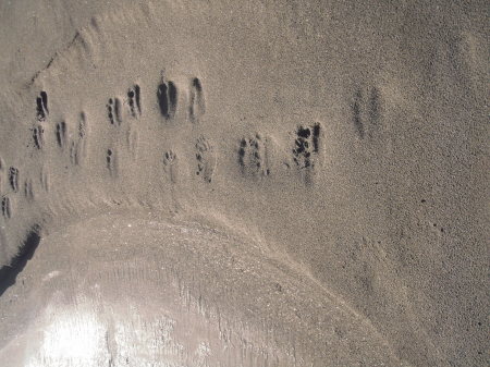 Foot prints in the sand.