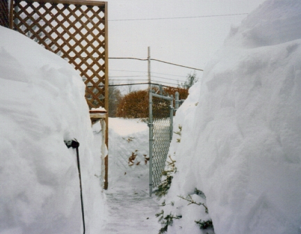 The Blizzard of 1996