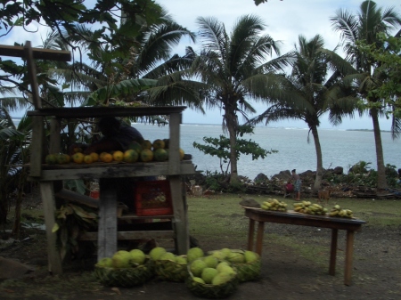 roadside stand in fiji