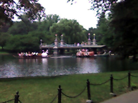 Boston Public Garden